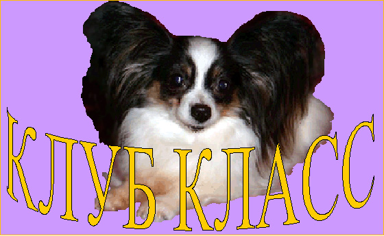 КЛУБ  КЛАСС